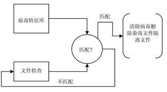 數字時代的守護者 防毒軟件與網絡信息安全軟件開發(fā)的重要性