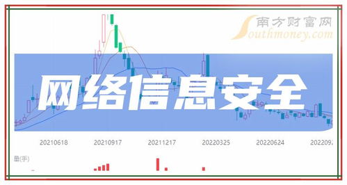 2024年網絡與信息安全軟件開發(fā)龍頭上市公司全解析